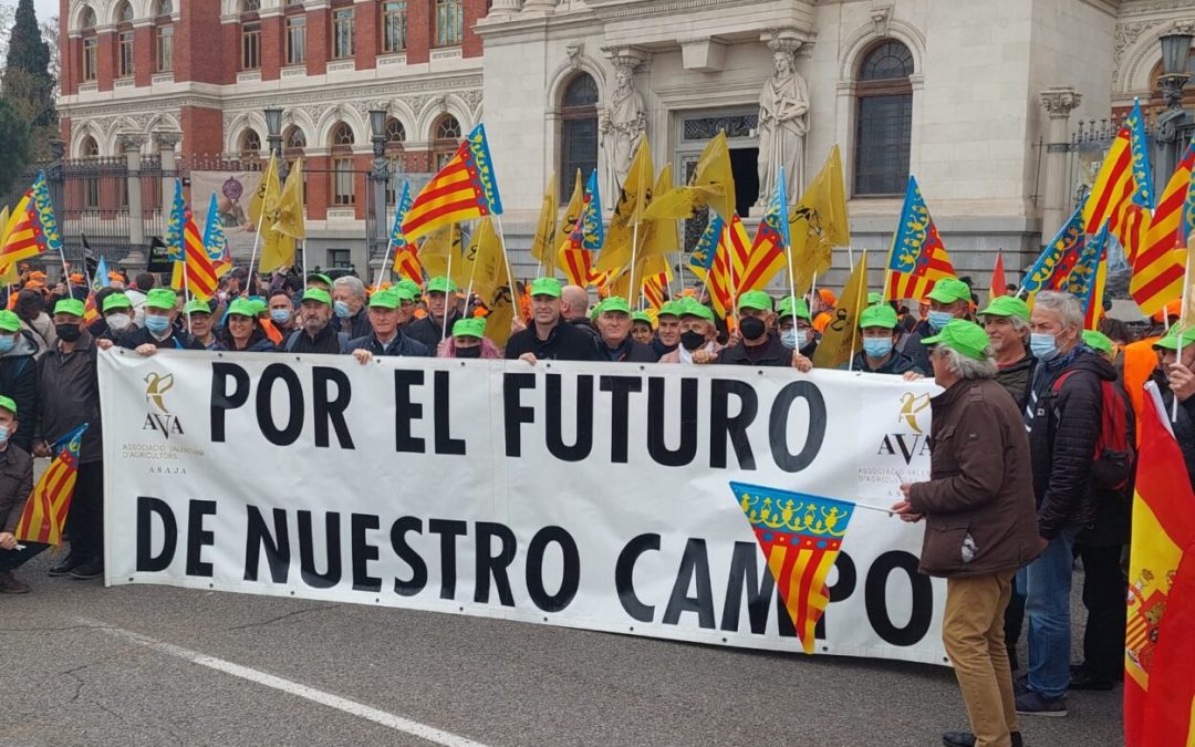 AVA-ASAJA anuncia movilizaciones el 12, 15 y 22 de febrero en las tres provincias de Valencia