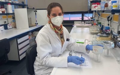 La UV y AVA-ASAJA investigan nanomateriales con aceites esenciales para combatir plagas