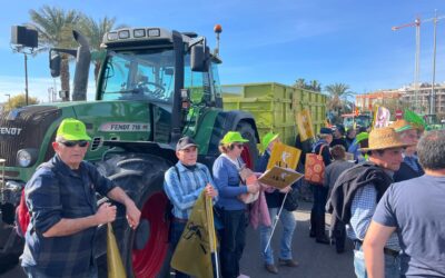 El presidente de AVA-ASAJA pide la dimisión de Pilar Bernabé por «hacer la vida imposible al sector agrario en cada manifestación»